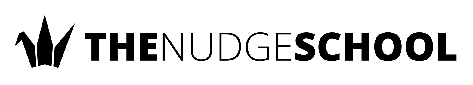 The Nudge School